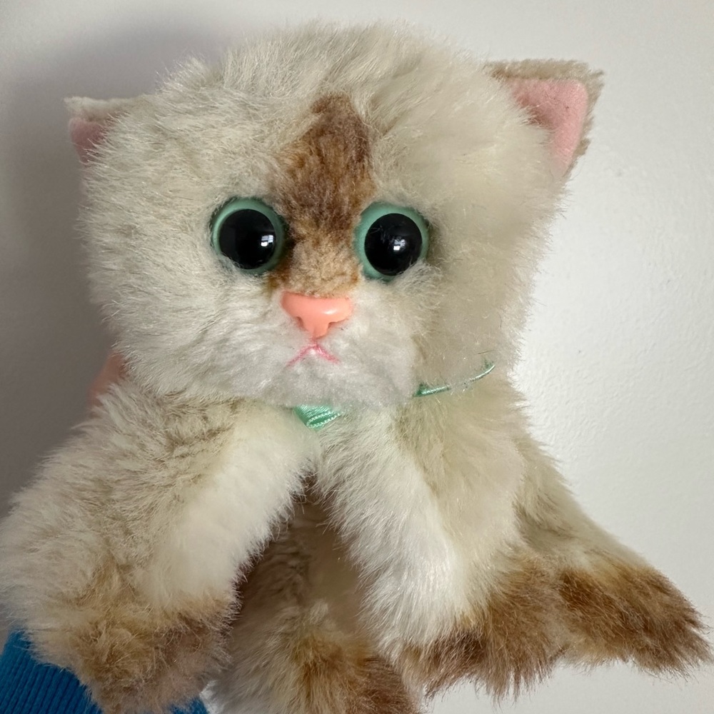 DSI 2001 “Princess” Kitty kitty kitten (Canadian satin bow)